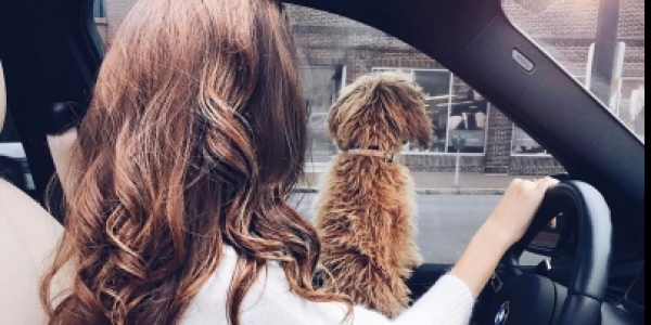 Высокооплачиваема работа девушкам в Новосибирске и Красноярске +7(910)149-26-76