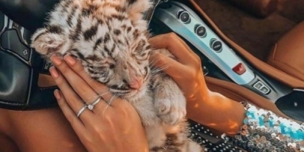 Работа для девушек в Ростове на Дону, это возможность изменить свою жизнь к лучшему, реализовать свои мечты и желания! +7(910)149-26-76